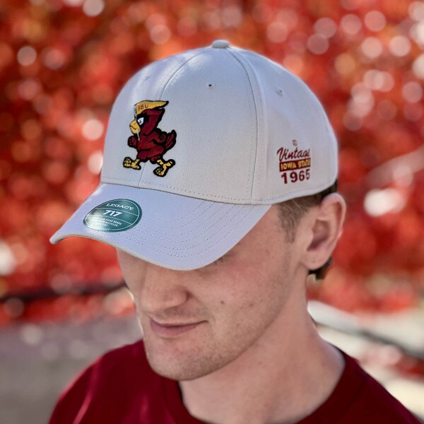 L2 Pennant Cy Gray Structured Hat